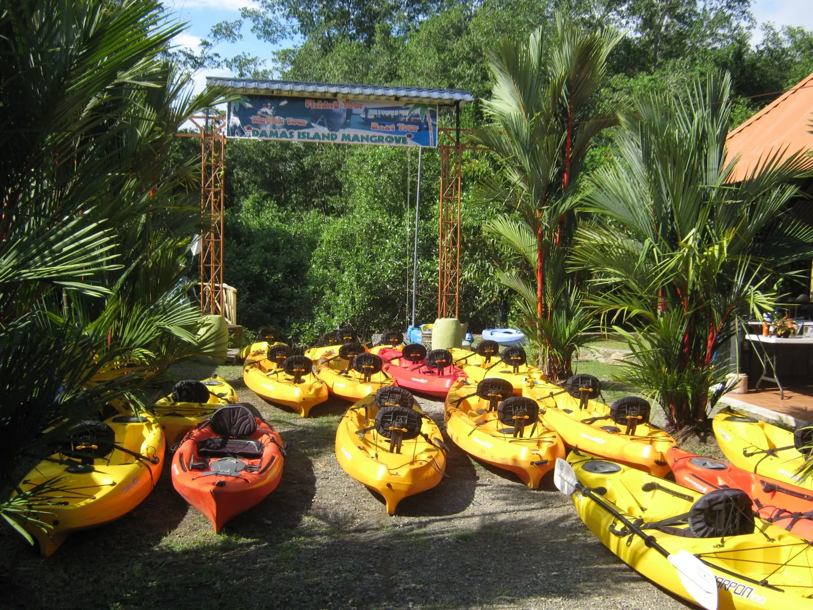 kayaks ready